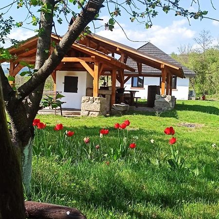 Villa Casa Livada Bunicii Tîrgu Ocna Esterno foto