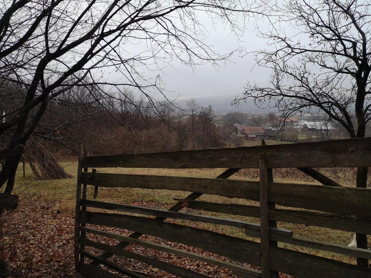 Villa Casa Livada Bunicii Tîrgu Ocna Esterno foto