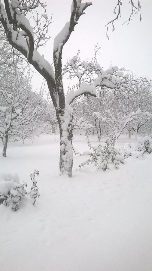 Villa Casa Livada Bunicii Tîrgu Ocna Esterno foto