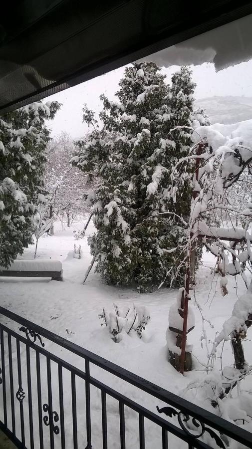 Villa Casa Livada Bunicii Tîrgu Ocna Esterno foto