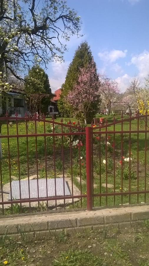 Villa Casa Livada Bunicii Tîrgu Ocna Esterno foto