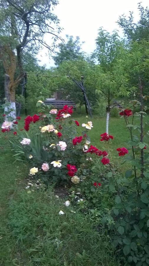 Villa Casa Livada Bunicii Tîrgu Ocna Esterno foto
