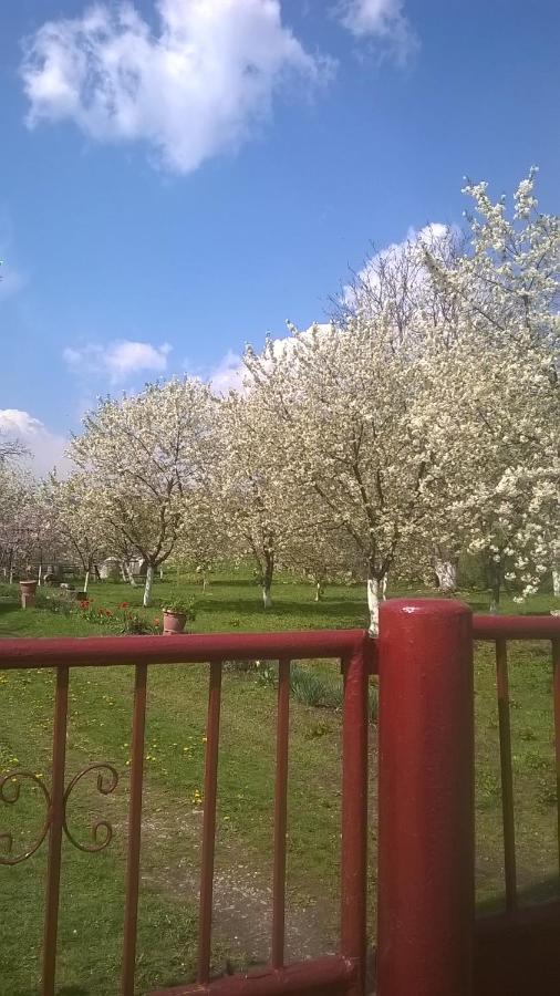 Villa Casa Livada Bunicii Tîrgu Ocna Esterno foto