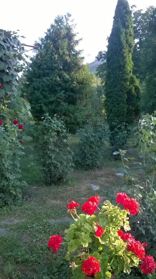 Villa Casa Livada Bunicii Tîrgu Ocna Esterno foto