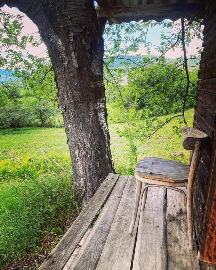Villa Casa Livada Bunicii Tîrgu Ocna Esterno foto