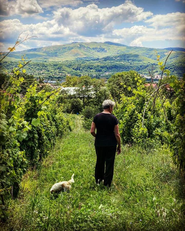 Villa Casa Livada Bunicii Tîrgu Ocna Esterno foto