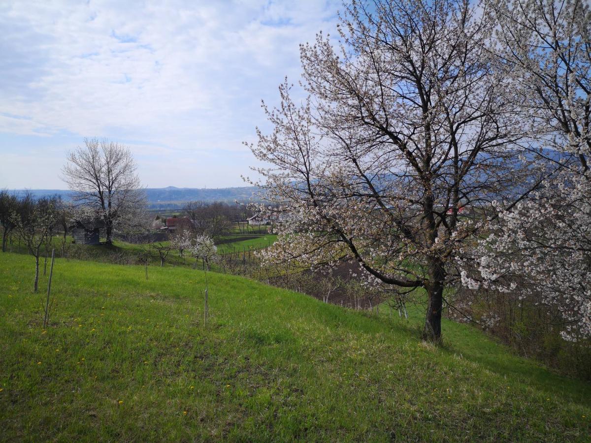 Villa Casa Livada Bunicii Tîrgu Ocna Esterno foto