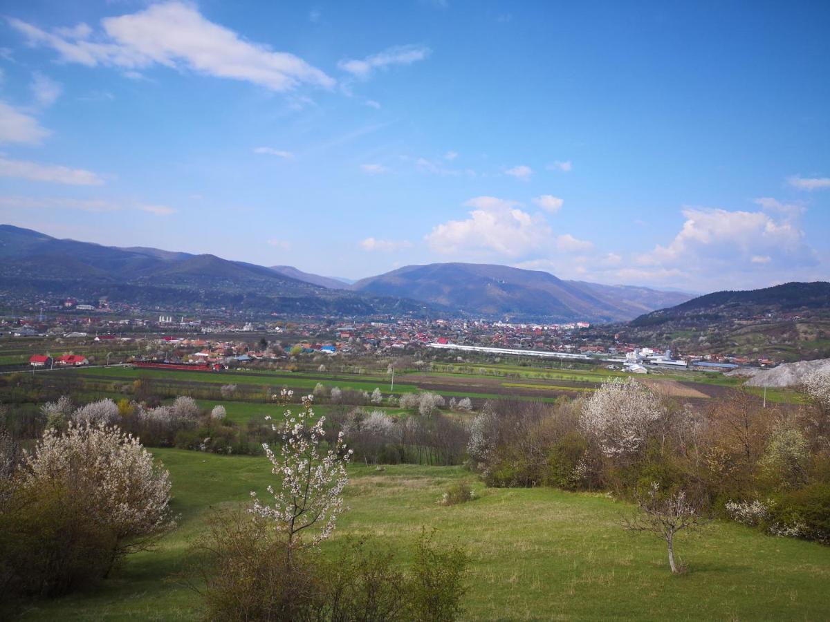 Villa Casa Livada Bunicii Tîrgu Ocna Esterno foto