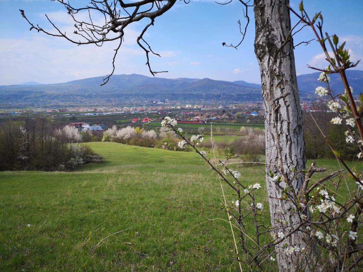Villa Casa Livada Bunicii Tîrgu Ocna Esterno foto