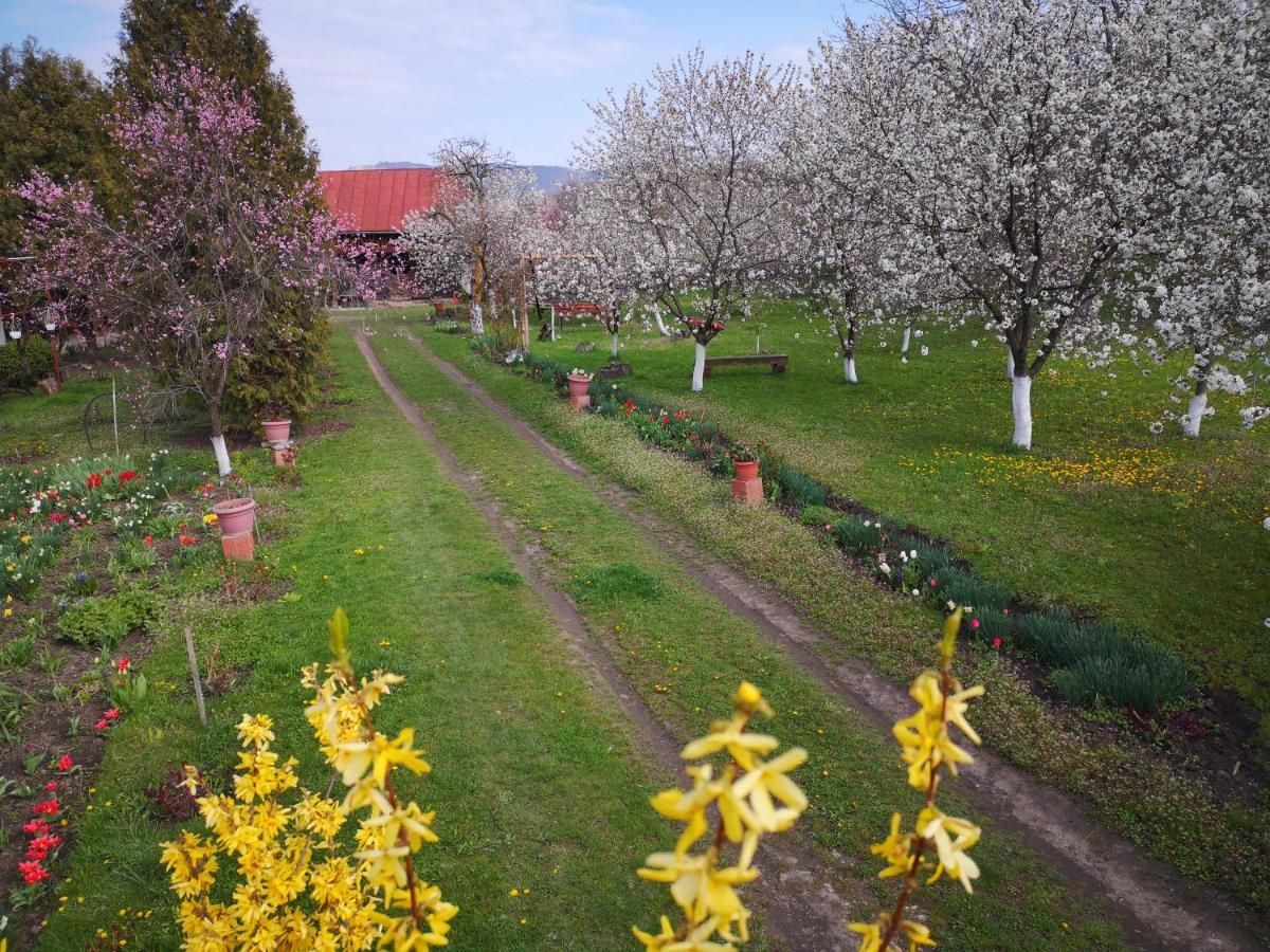 Villa Casa Livada Bunicii Tîrgu Ocna Esterno foto
