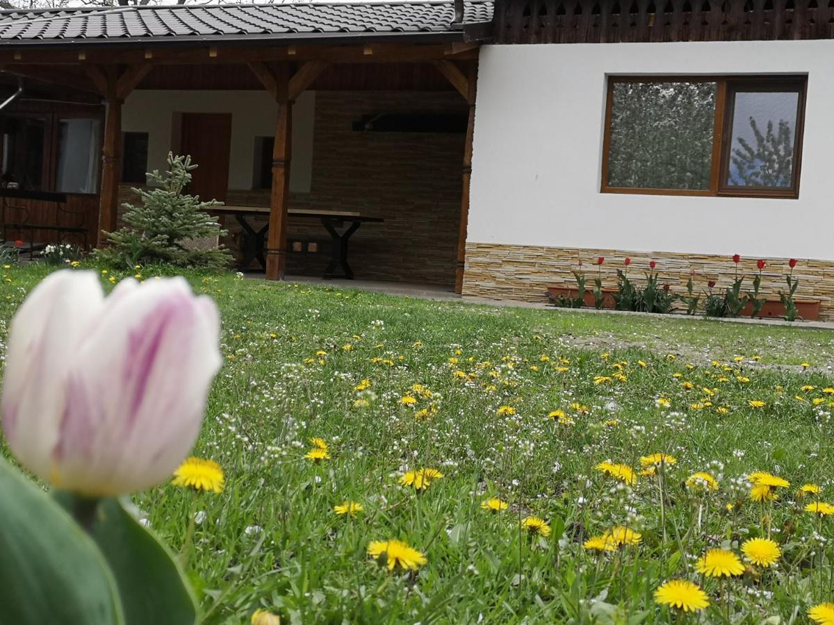 Villa Casa Livada Bunicii Tîrgu Ocna Esterno foto