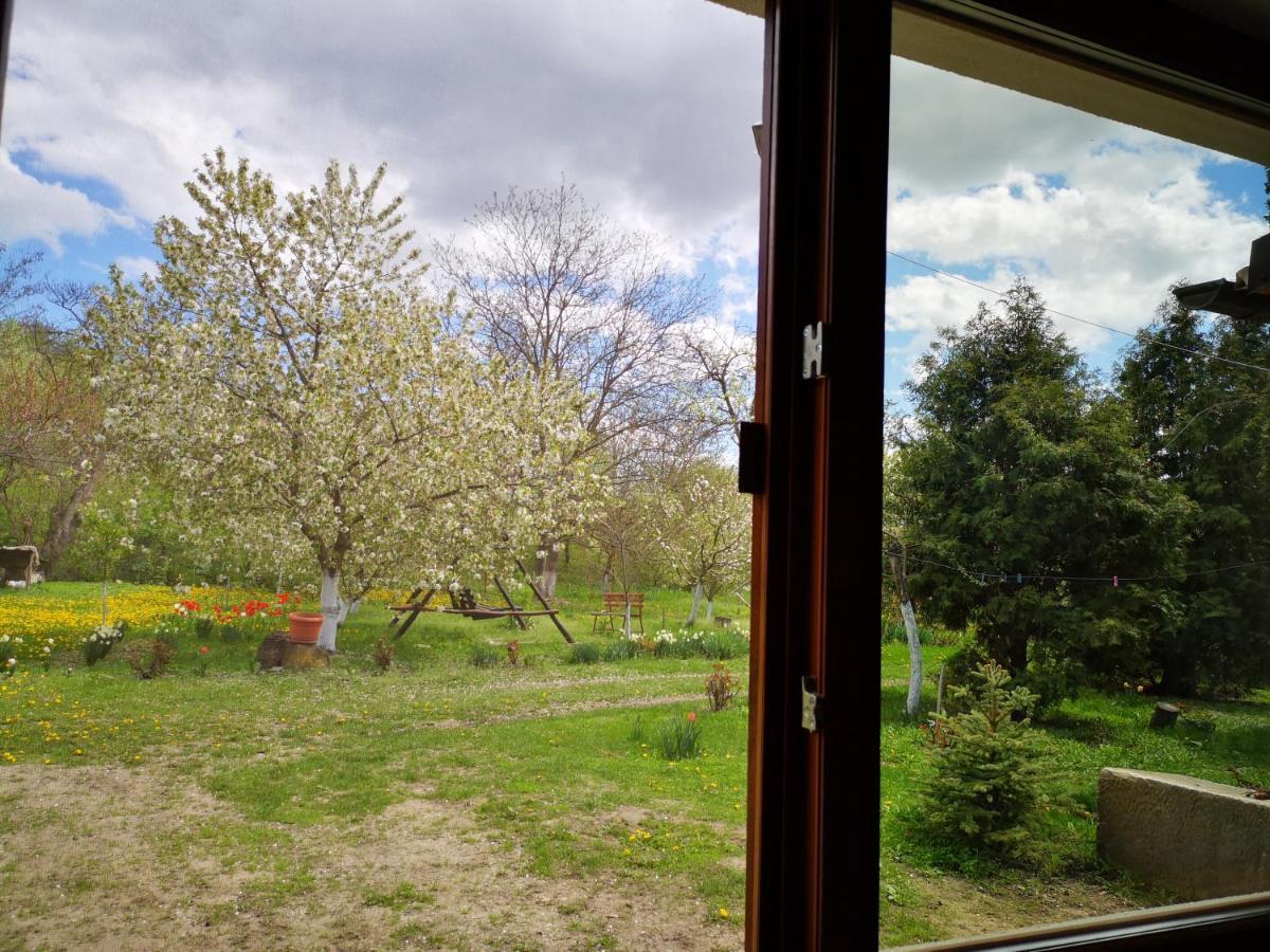 Villa Casa Livada Bunicii Tîrgu Ocna Esterno foto