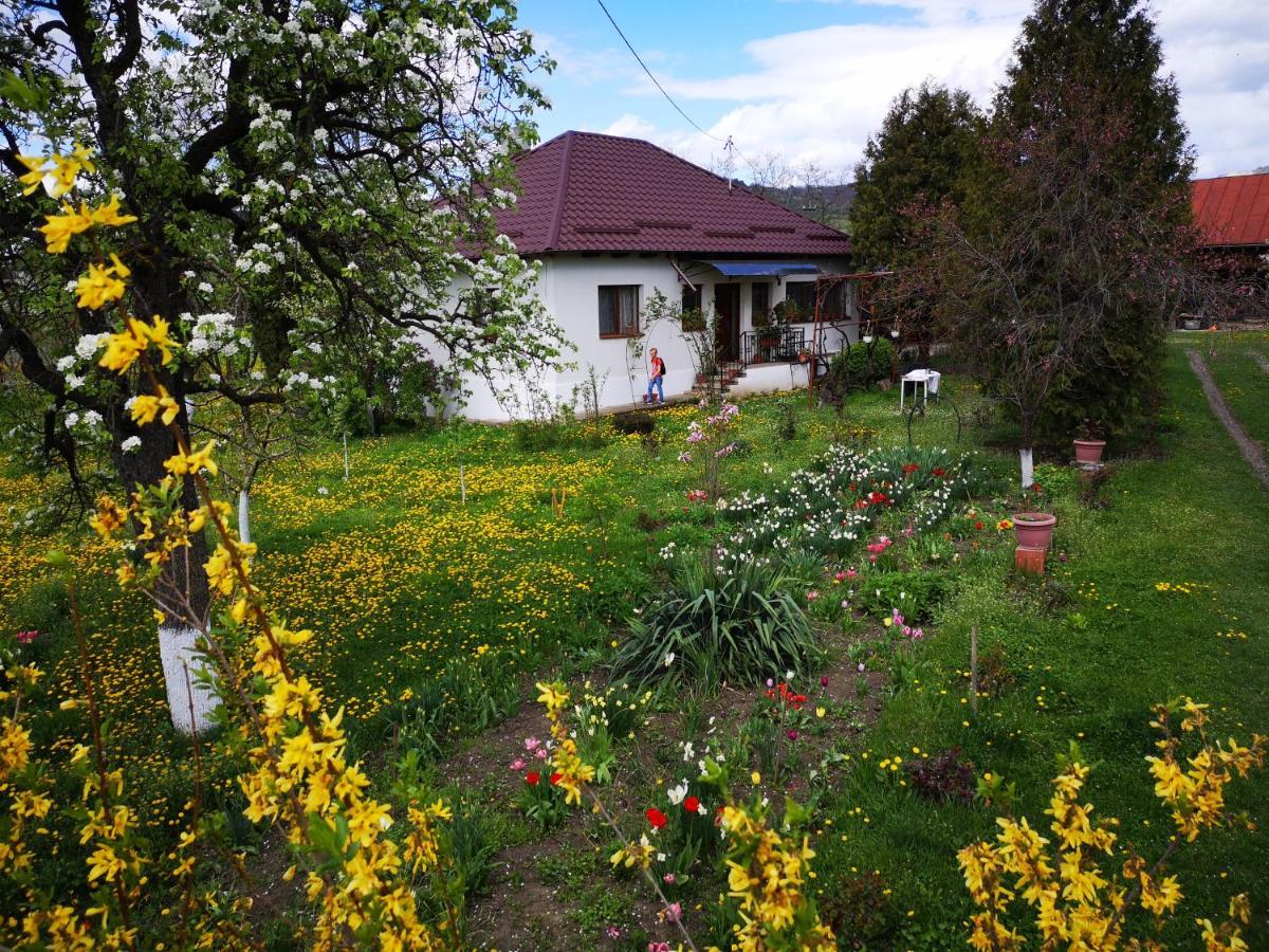 Villa Casa Livada Bunicii Tîrgu Ocna Esterno foto