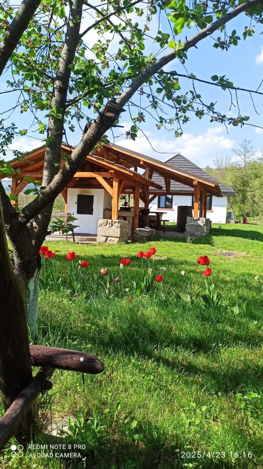 Villa Casa Livada Bunicii Tîrgu Ocna Esterno foto