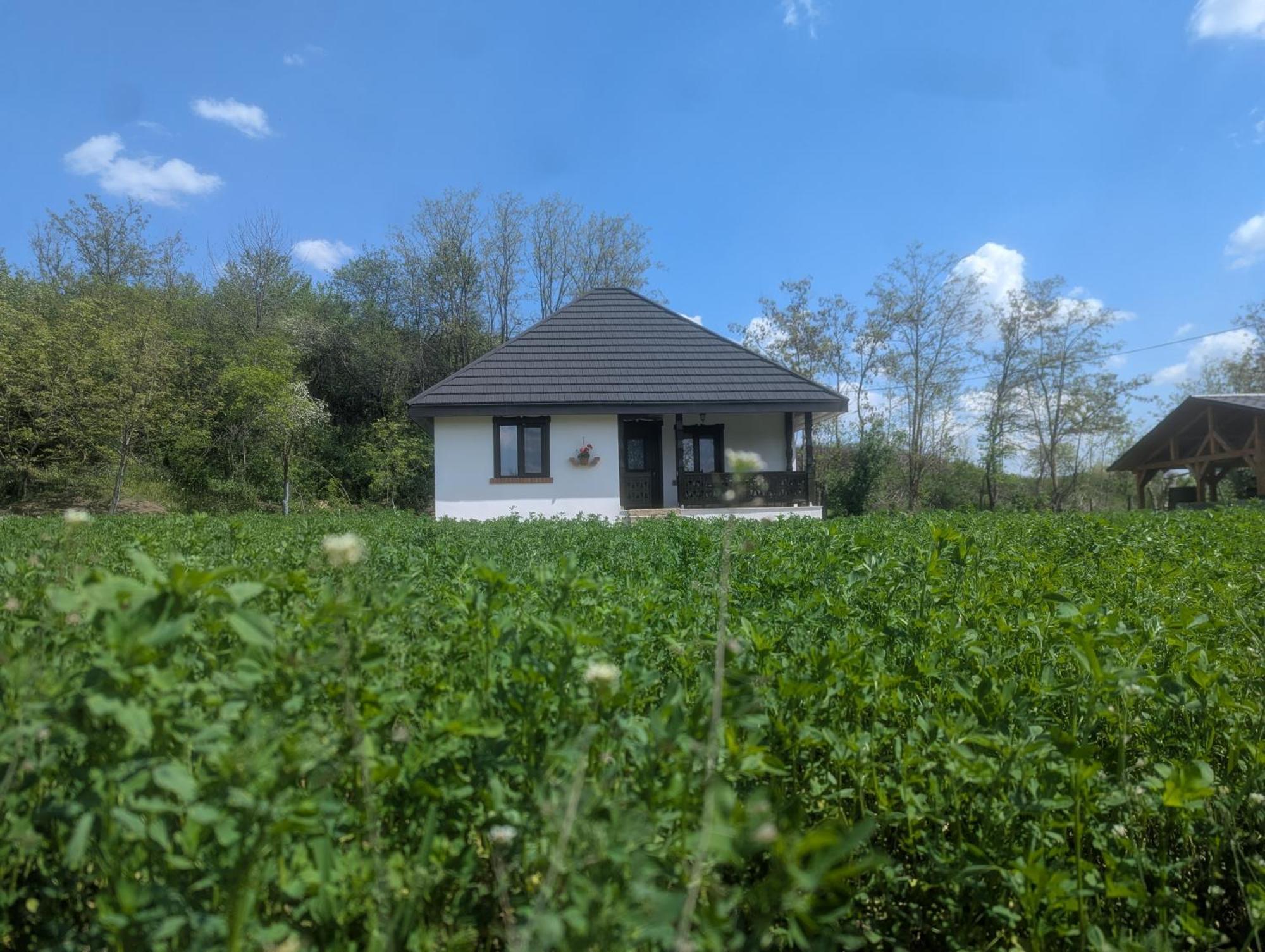 Villa Casa Livada Bunicii Tîrgu Ocna Camera foto